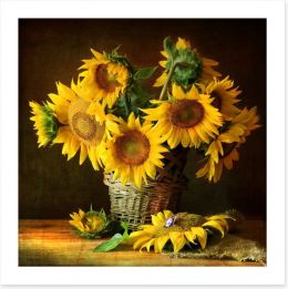 Sunflowers Art Print 61091826