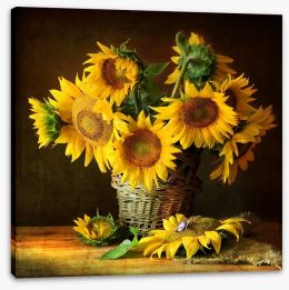 Sunflowers Stretched Canvas 61091826