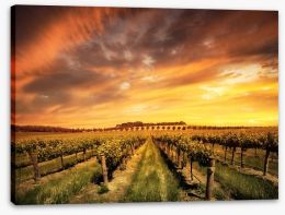 Morning vines Stretched Canvas 61140767