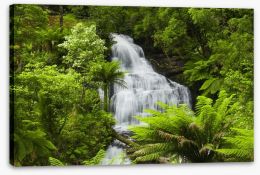 Ancient fern falls in The Otways Stretched Canvas 61141061