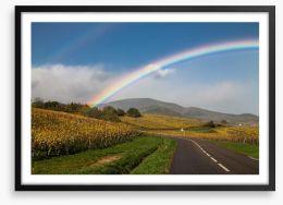 Rainbows Framed Art Print 61151788