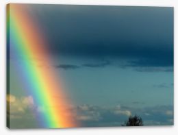 Rainbows Stretched Canvas 61359387