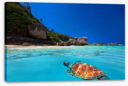 Tropical green turtle Stretched Canvas 61430210