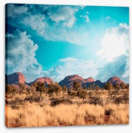 Outback Stretched Canvas 61442017