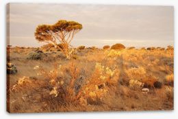 Alone on the Nullarbor Stretched Canvas 61559353