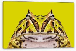 Reptiles / Amphibian Stretched Canvas 61570682