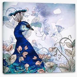 Peacock shadow Stretched Canvas 61591686