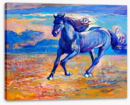 Galloping Stretched Canvas 61699527