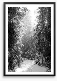 Between the fir trees Framed Art Print 61820410