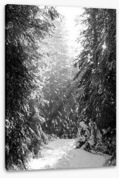 Between the fir trees Stretched Canvas 61820410
