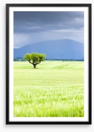 The lonesome tree Framed Art Print 61844992