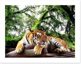 Tired tiger Art Print 61968911