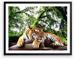 Tired tiger Framed Art Print 61968911