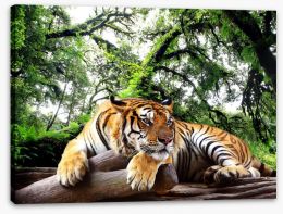 Tired tiger Stretched Canvas 61968911