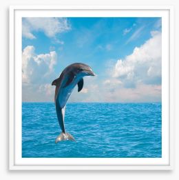 Jumping dolphin Framed Art Print 61990213