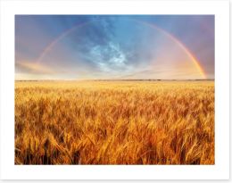 Rainbow over the wheat Art Print 62076240