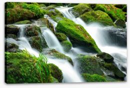 Green moss cascades Stretched Canvas 62139217