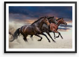 Sandy gallop Framed Art Print 62166147