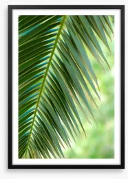 Coconut palm macro Framed Art Print 62268616