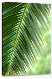 Coconut palm macro Stretched Canvas 62268616