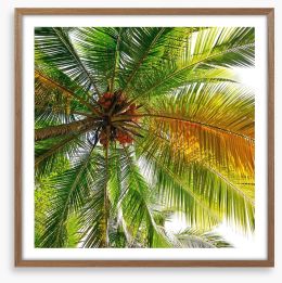 Under the coconut tree Framed Art Print 62398394
