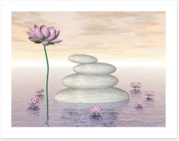Pink lily zen Art Print 62427977