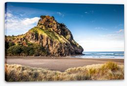 New Zealand Stretched Canvas 62454614
