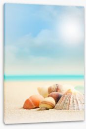 Shells on the beach Stretched Canvas 62557452