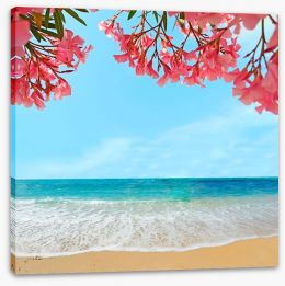 Oleanders on the beach Stretched Canvas 62577159