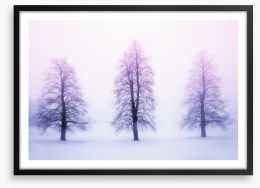 Three winter trees Framed Art Print 62615188