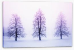 Three winter trees Stretched Canvas 62615188