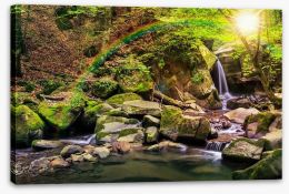 Forest falls rainbow Stretched Canvas 62820089