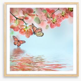 Butterfly zen Framed Art Print 62932443