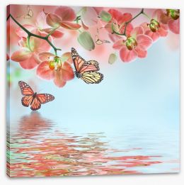 Butterfly zen Stretched Canvas 62932443