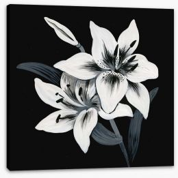 Black and White Stretched Canvas 62965472