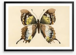 Aquarelle butterfly Framed Art Print 62965493