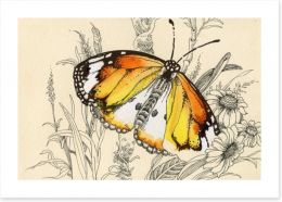 Vintage butterfly Art Print 62965501