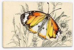 Vintage butterfly Stretched Canvas 62965501