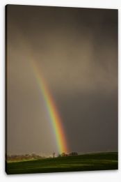 Rainbows Stretched Canvas 63012292