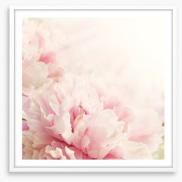 Soft pink peony Framed Art Print 63099910