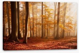 Carpathian beech forest Stretched Canvas 63160876