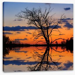 Sunset tree silhouette Stretched Canvas 63246865
