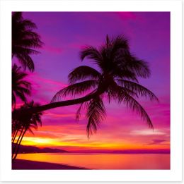 Purple sky palm Art Print 63423132