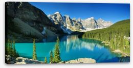  Banff National Park 63431465