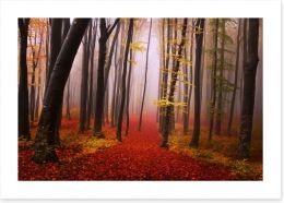 Autumn in the fairytale forest Art Print 63521523