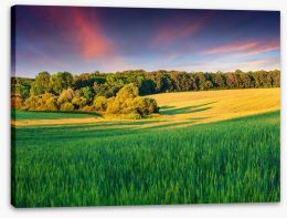 Field of dreams Stretched Canvas 63607365