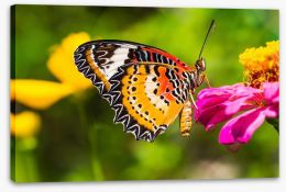 Butterflies Stretched Canvas 63621817