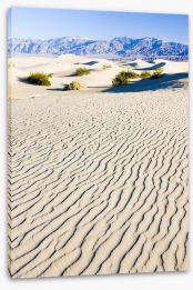 Desert Stretched Canvas 63692949