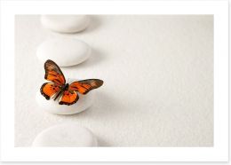 White stones and butterfly Art Print 63717283