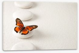 White stones and butterfly Stretched Canvas 63717283